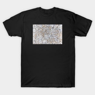 Dry and swollen earth texture T-Shirt